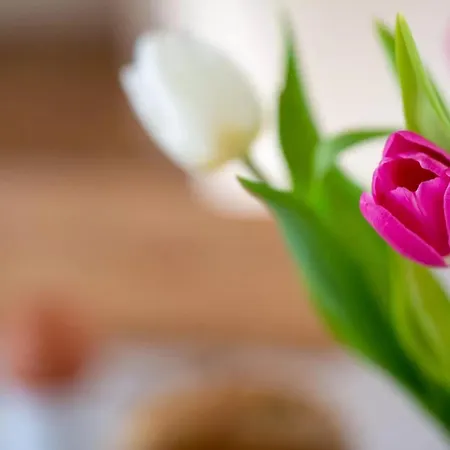 Urlaub An Der Nordermuehle Daire *