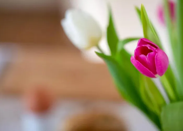 Urlaub An Der Nordermuehle Appartement *